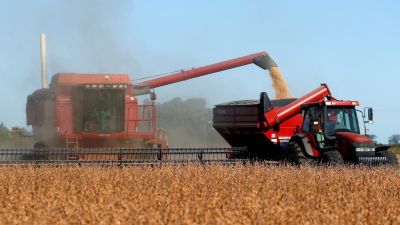 En febrero las exportaciones crecieron 9,1% gracias a la suba de los precios de la soja