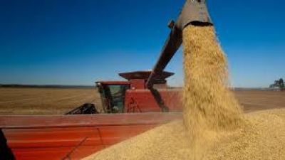En junio se redujo un 8% la oferta de dólares del agro