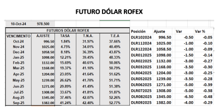 Evolución de las cotizaciones del dólar al 11 de octubre 2024