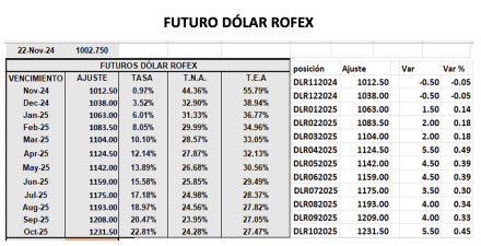 Evolución de las cotizaciones del dólar al 22 de noviembre 2024