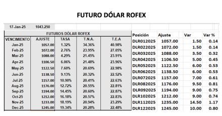 Evolución de las cotizaciones del dólar al 17 de enero 2025