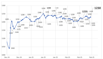 Evolución de las cotizaciones del dólar al 21 de febrero  2025