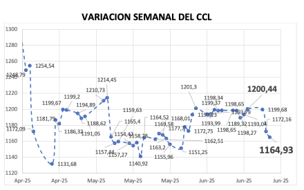 Variación semanal del índice CCL al 19 de junio 2025