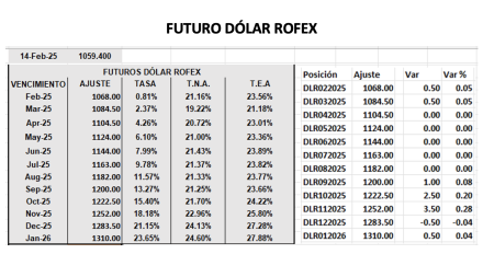 Evolución de las cotizaciones del dólar al 14 de febrero 2025