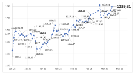 Evolución de las cotizaciones del dólar al 14 de marzo 2025 2025