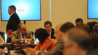 Qué dice la ley de "sostenibilidad de la deuda" que se vota en Diputados