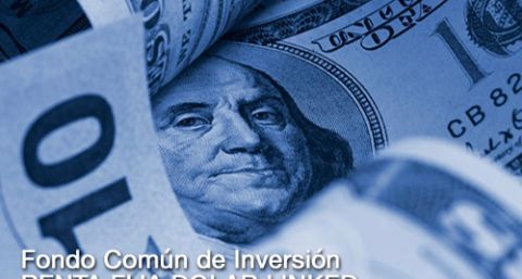 Análisis del Fondo Común de Inversión RENTA FIJA DOLAR LINKED - 29 de mayo 2020